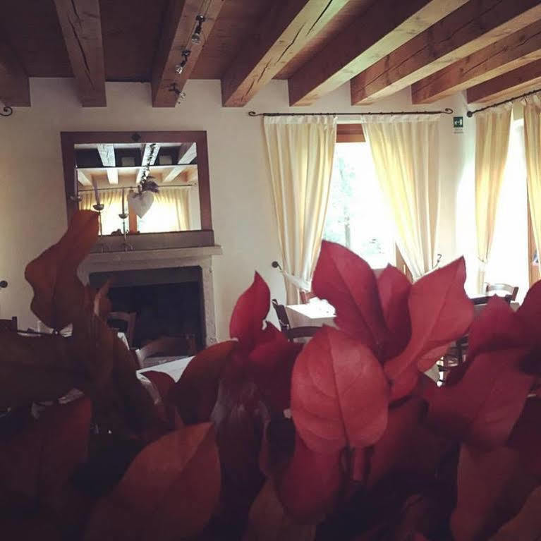 Hotel Villa Dei Carpini Oderzo Buitenkant foto